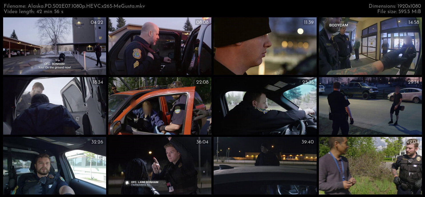 Alaska PD S02E07 1080p HEVC x265 MeGusta TGx