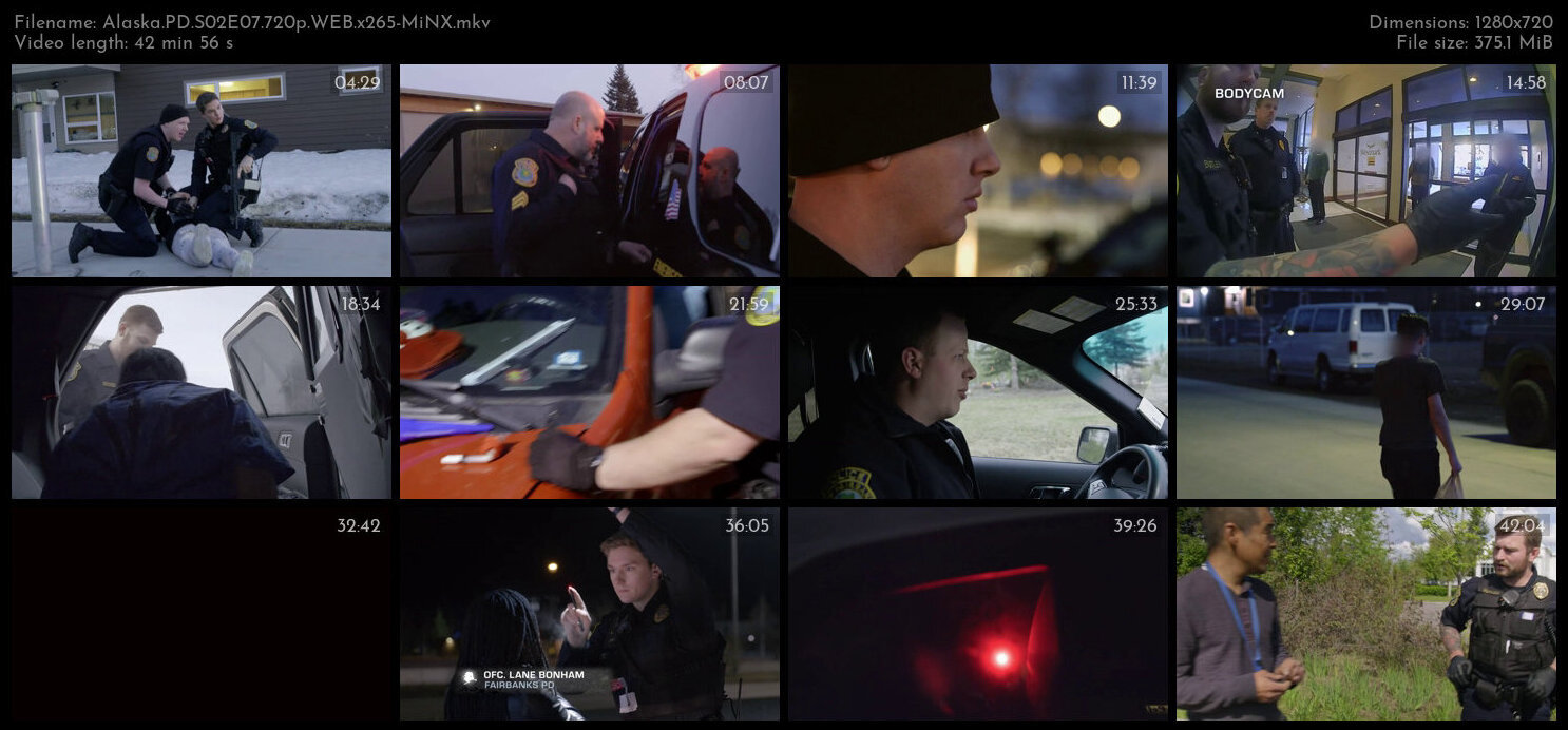 Alaska PD S02E07 720p WEB x265 MiNX TGx