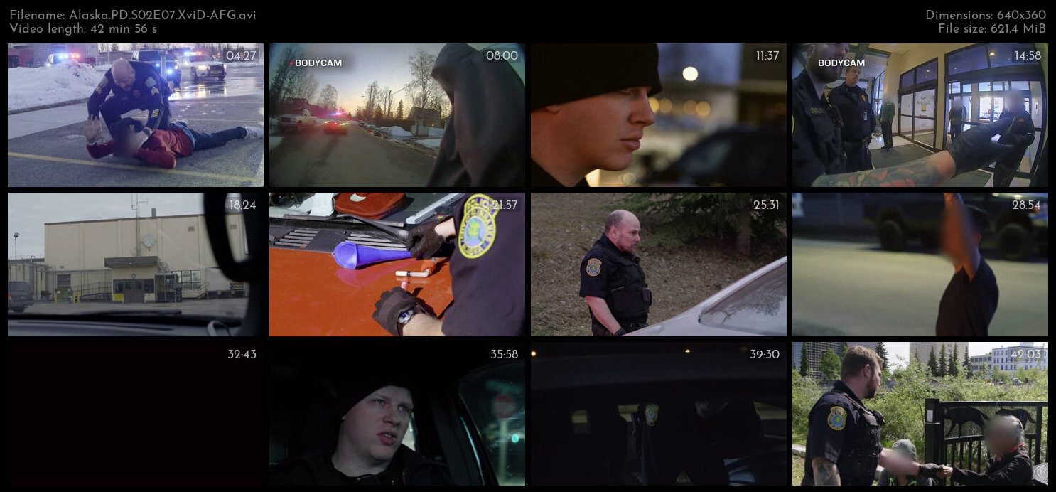 Alaska PD S02E07 XviD AFG TGx