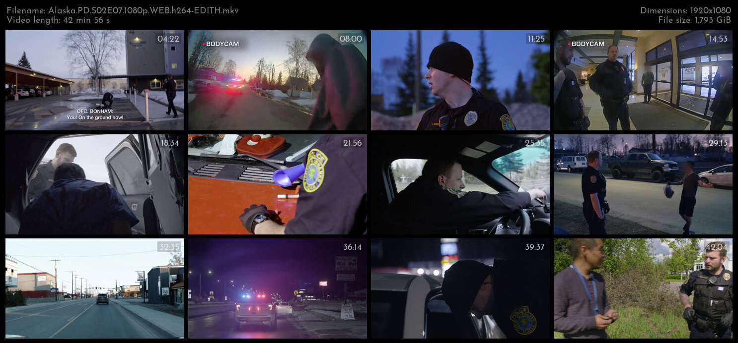 Alaska PD S02E07 1080p WEB h264 EDITH TGx