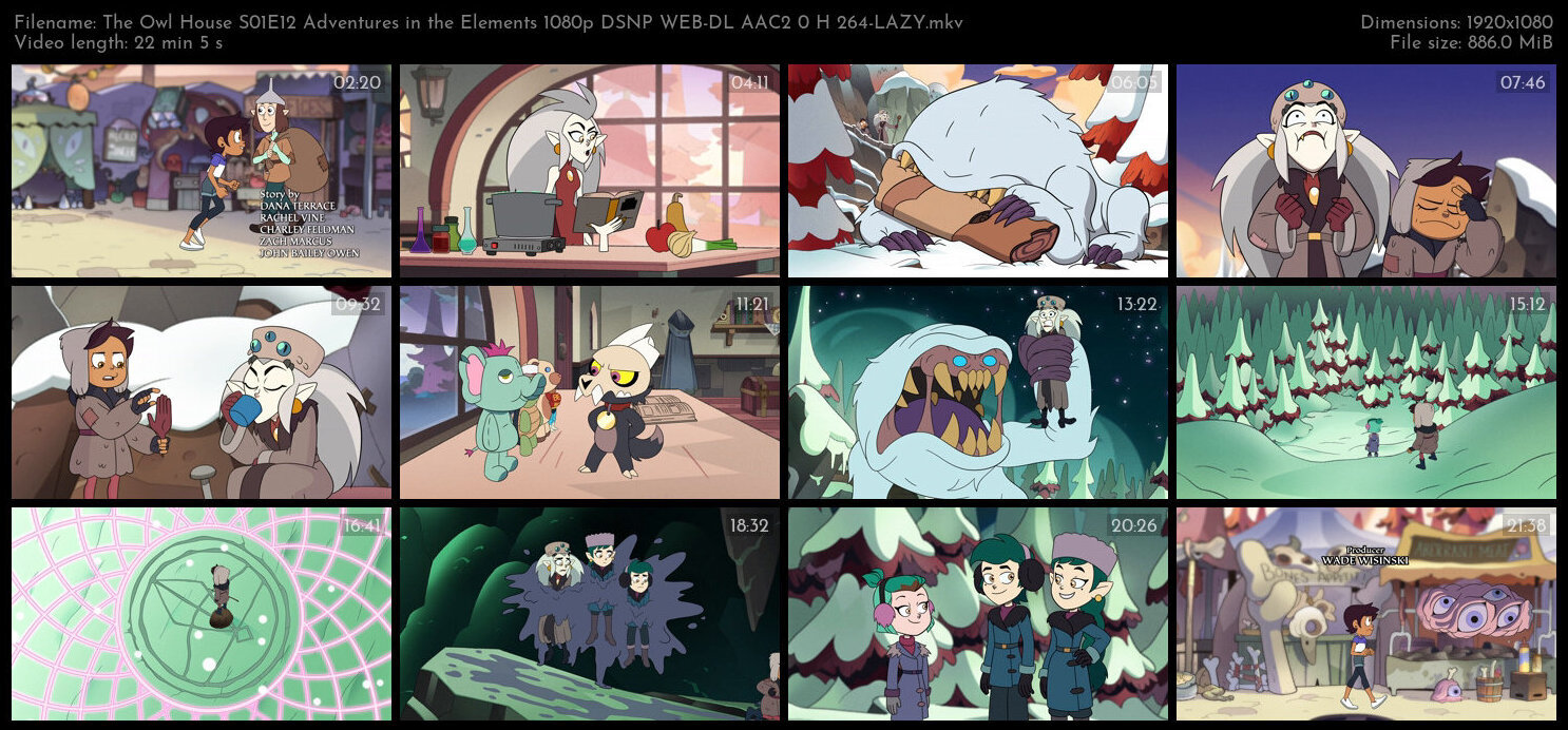 The Owl House S01E12 Adventures in the Elements 1080p DSNP WEB DL AAC2 0 H 264 LAZY TGx