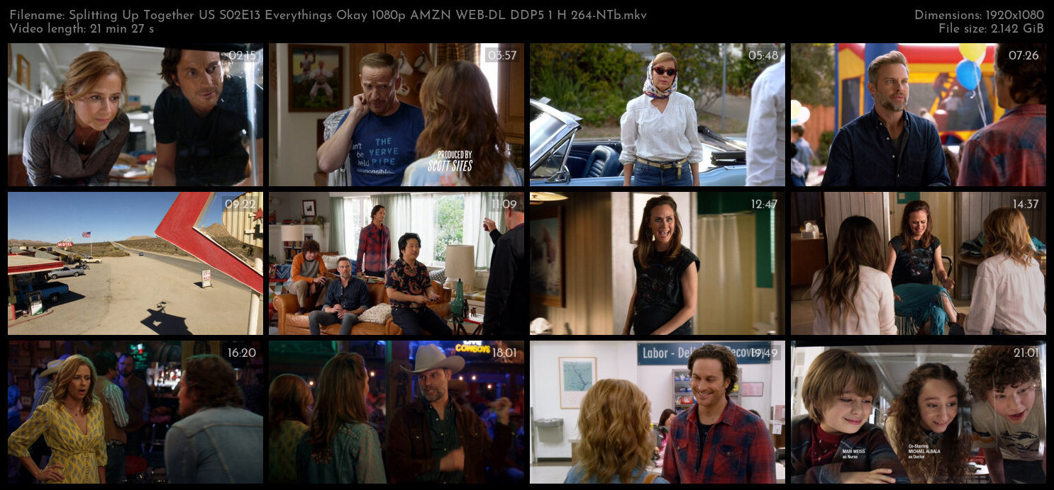 Splitting Up Together US S02E13 Everythings Okay 1080p AMZN WEB DL DDP5 1 H 264 NTb TGx