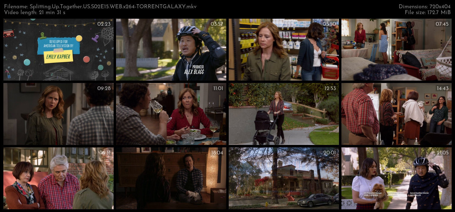 Splitting Up Together US S02E15 WEB x264 TORRENTGALAXY