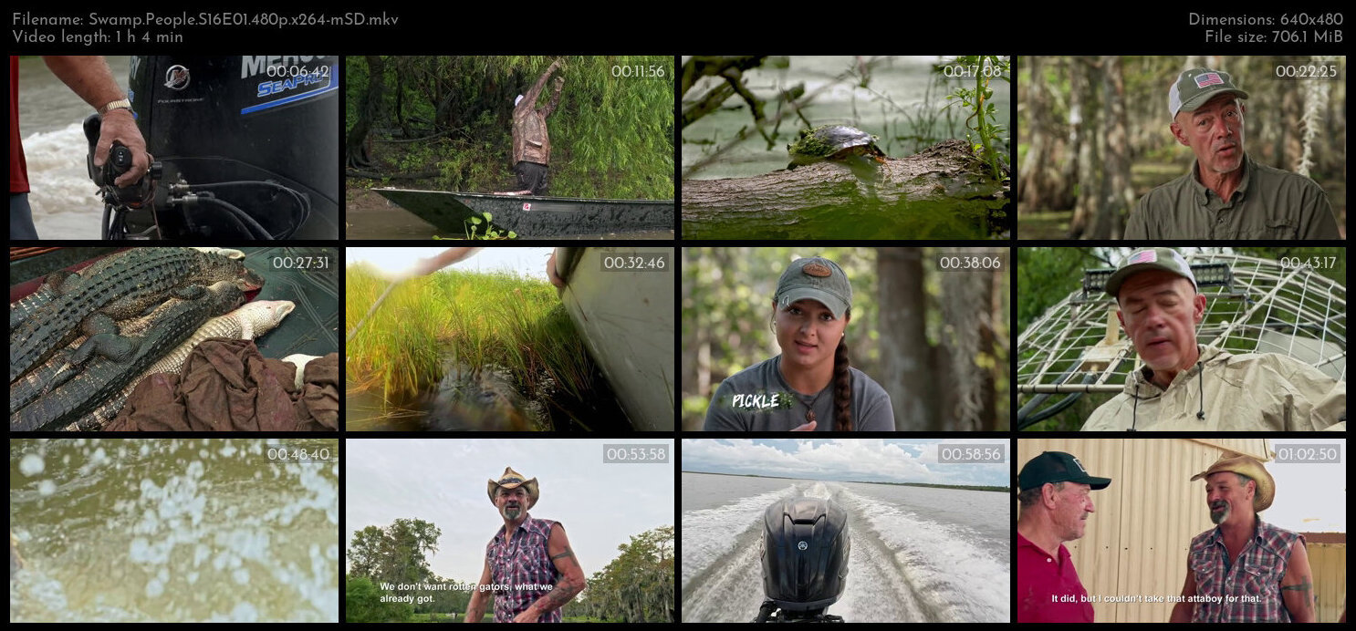 Swamp People S16E01 480p x264 mSD TGx