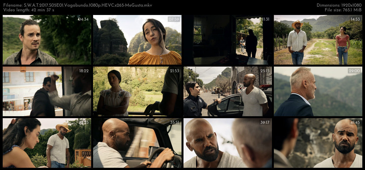 S W A T 2017 S05E01 Vagabundo 1080p HEVC x265 MeGusta TGx