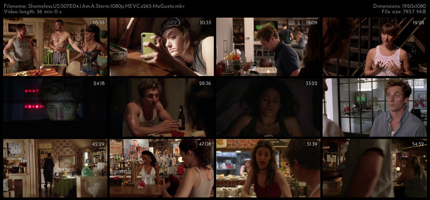 Shameless US S07E04 I Am A Storm 1080p HEVC x265 MeGusta TGx