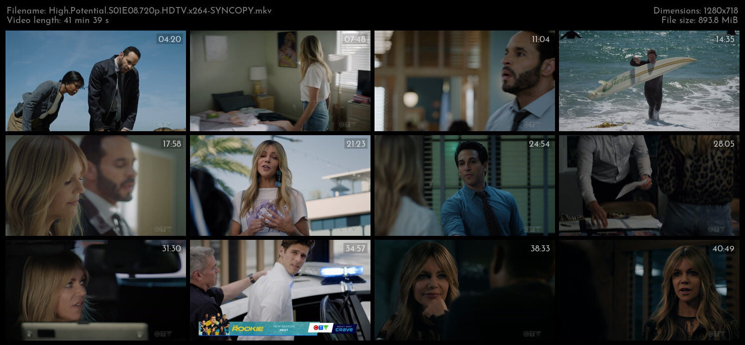 High Potential S01E08 720p HDTV x264 SYNCOPY TGx