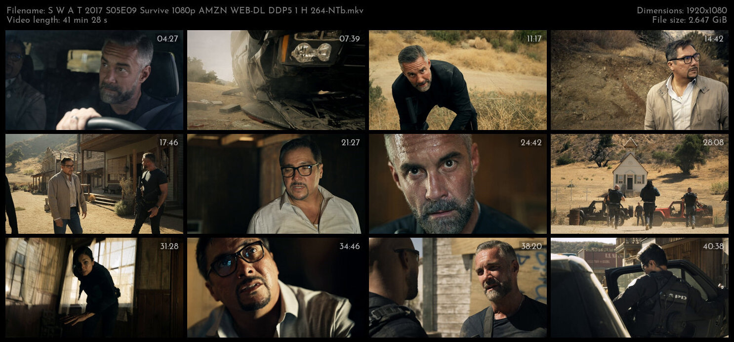 S W A T 2017 S05E09 Survive 1080p AMZN WEB DL DDP5 1 H 264 NTb TGx