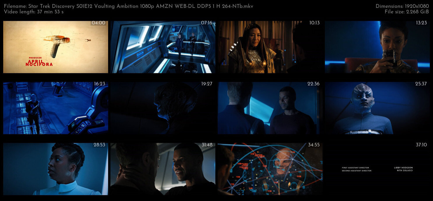 Star Trek Discovery S01E12 Vaulting Ambition 1080p AMZN WEB DL DDP5 1 H 264 NTb TGx