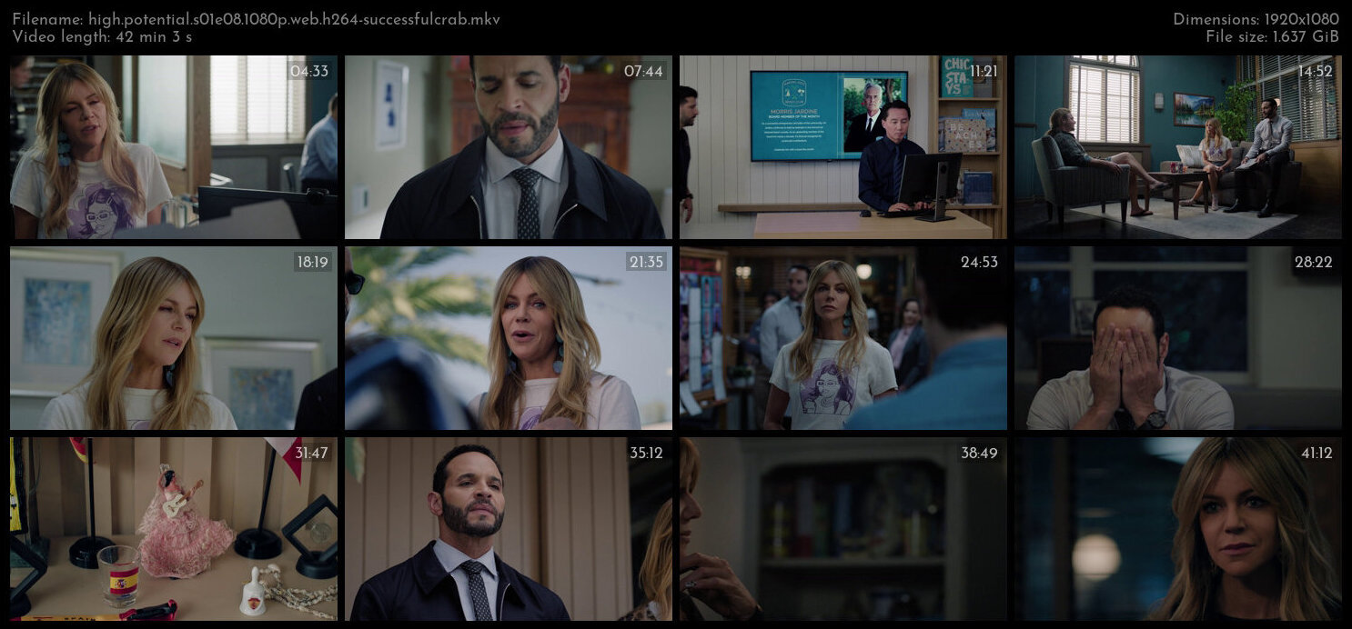 High Potential S01E08 1080p WEB H264 SuccessfulCrab TGx