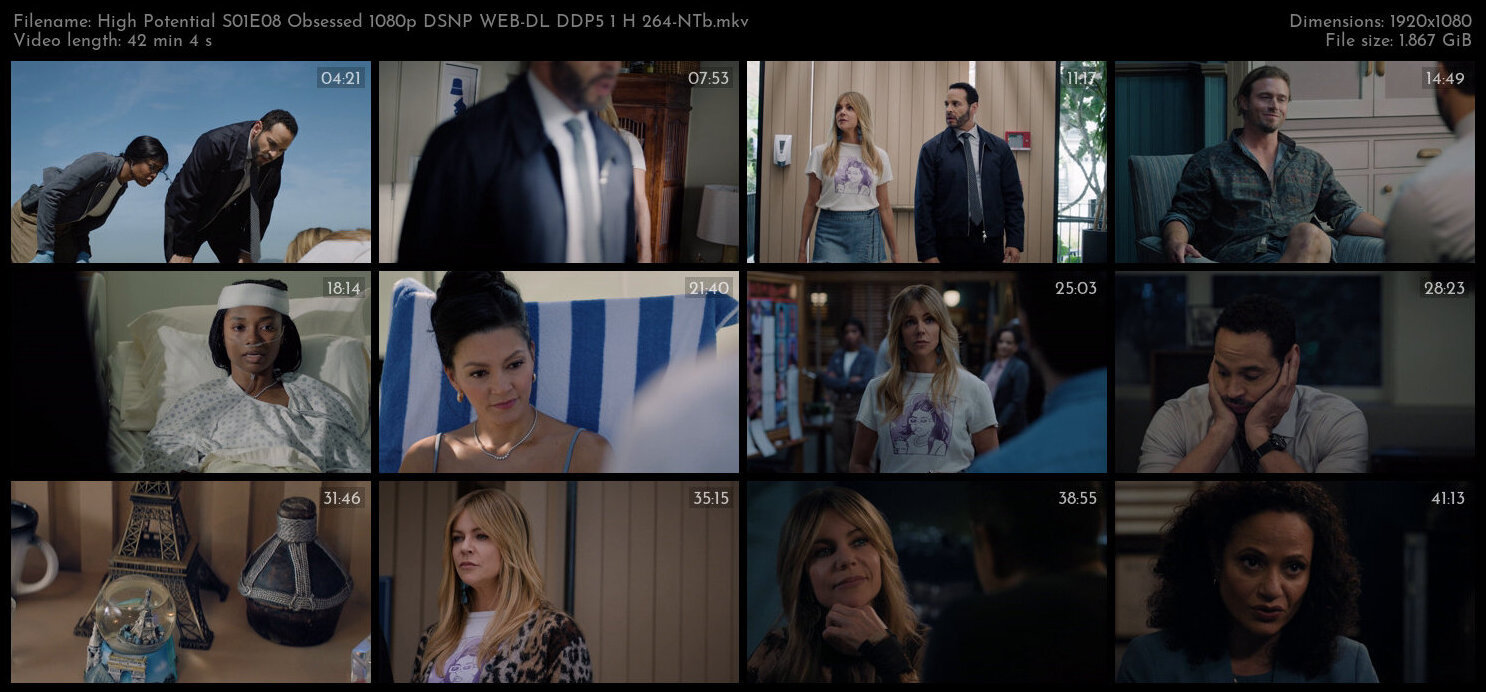 High Potential S01E08 Obsessed 1080p DSNP WEB DL DDP5 1 H 264 NTb TGx