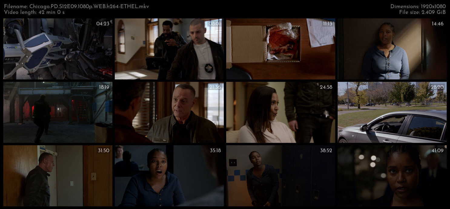 Chicago PD S12E09 1080p WEB h264 ETHEL TGx