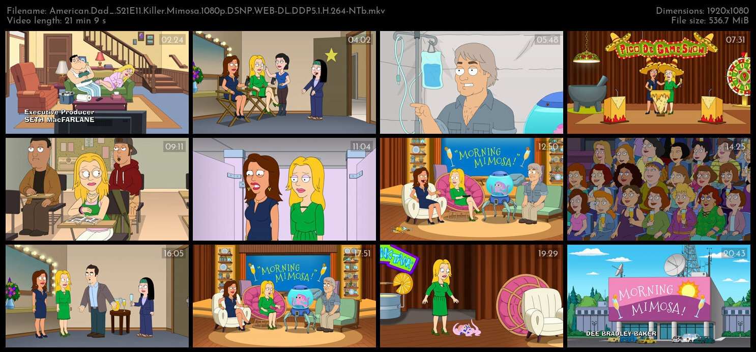 American Dad S21E11 Killer Mimosa 1080p DSNP WEB DL DDP5 1 H 264 NTb TGx