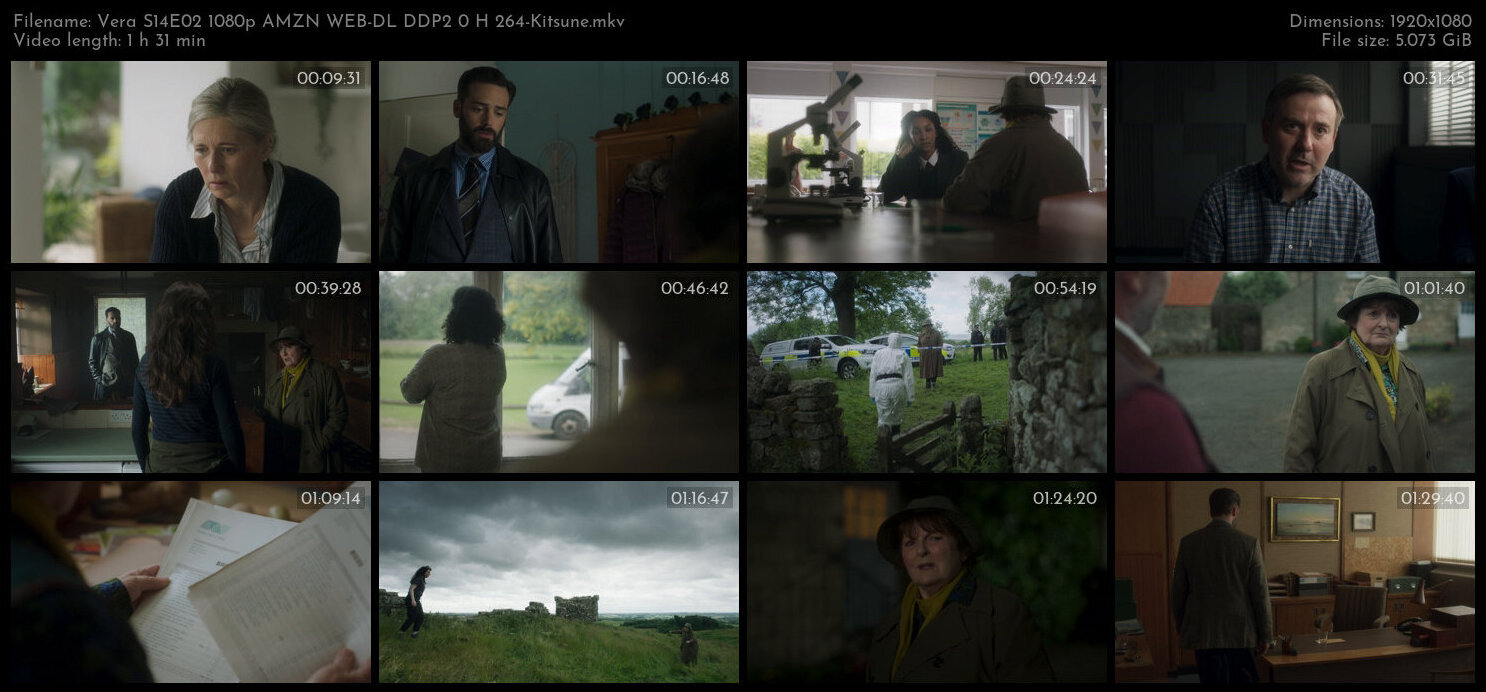 Vera S14E02 1080p AMZN WEB DL DDP2 0 H 264 Kitsune TGx