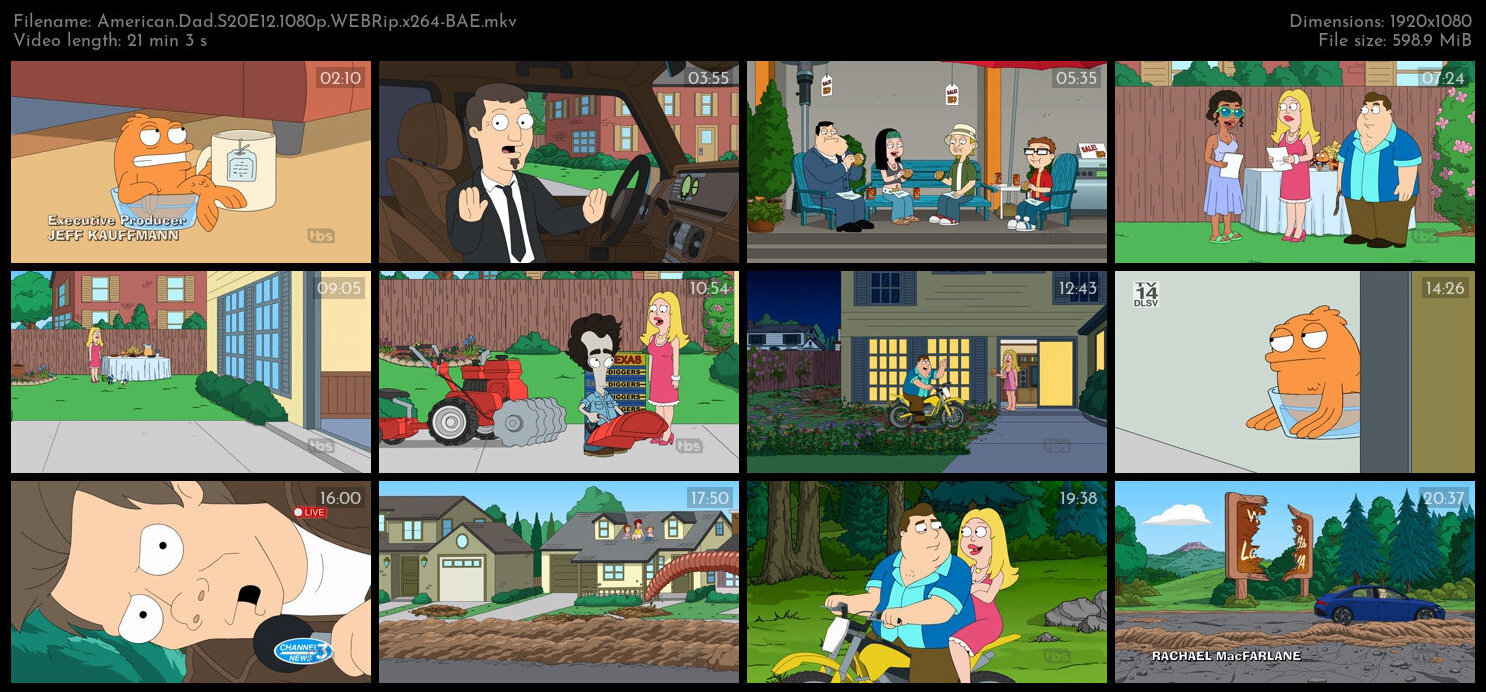 American Dad S20E12 1080p WEBRip x264 BAE TGx