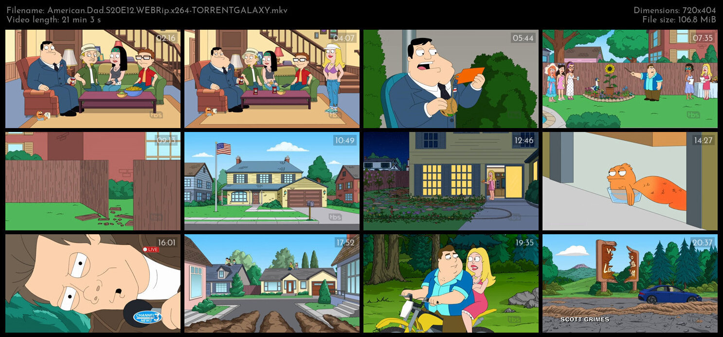 American Dad S20E12 WEBRip x264 TORRENTGALAXY