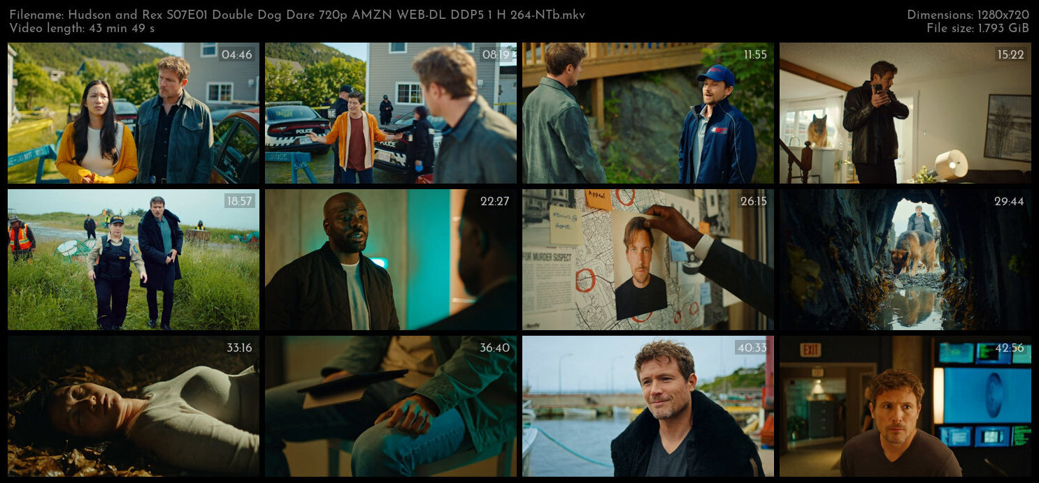 Hudson and Rex S07E01 Double Dog Dare 720p AMZN WEB DL DDP5 1 H 264 NTb TGx