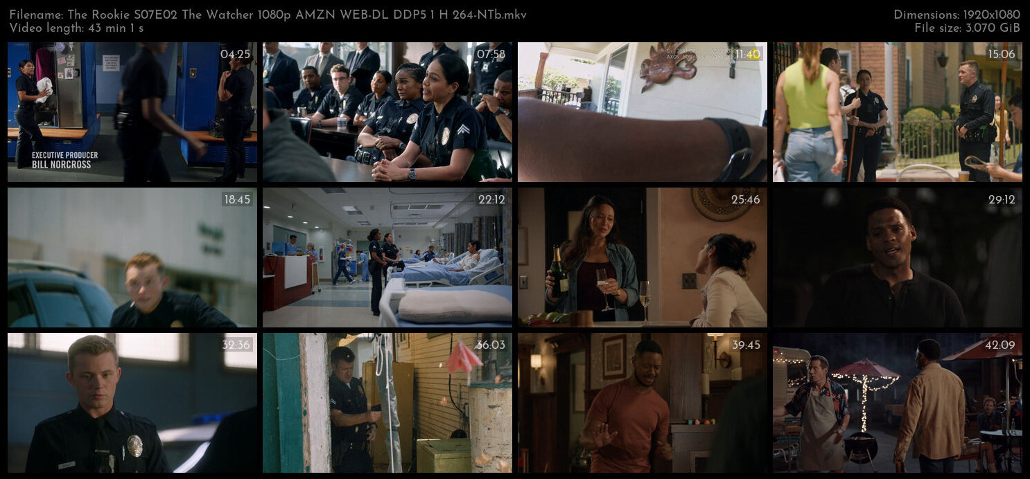 The Rookie S07E02 The Watcher 1080p AMZN WEB DL DDP5 1 H 264 NTb TGx