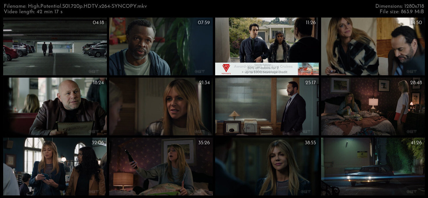 High Potential S01E09 720p HDTV x264 SYNCOPY TGx