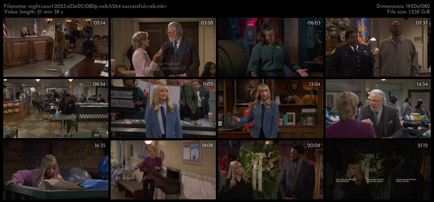 Night Court 2023 S03E05 1080p WEB H264 SuccessfulCrab TGx