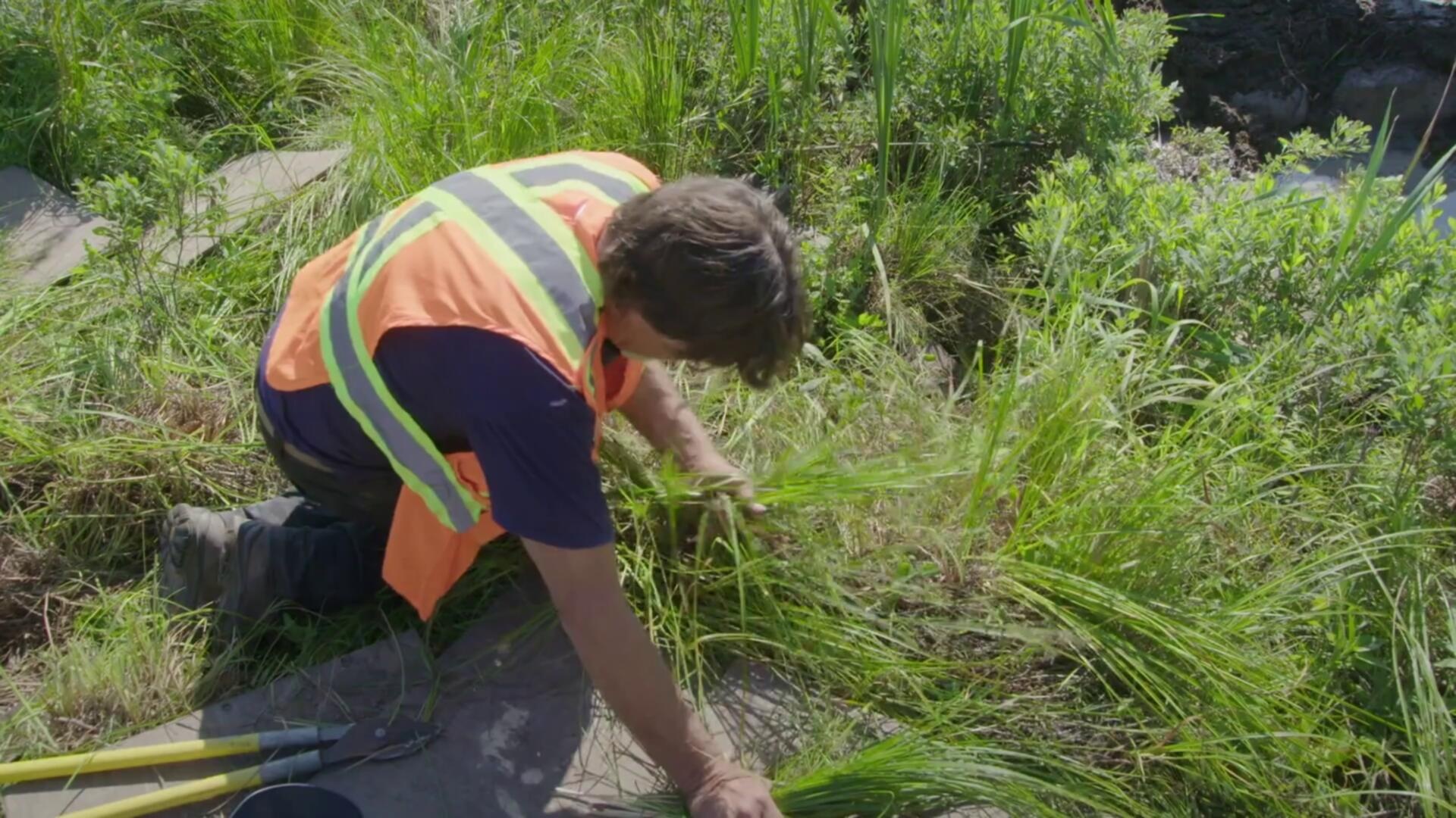 The Curse of Oak Island S12E08 1080p WEB h264 EDITH TGx