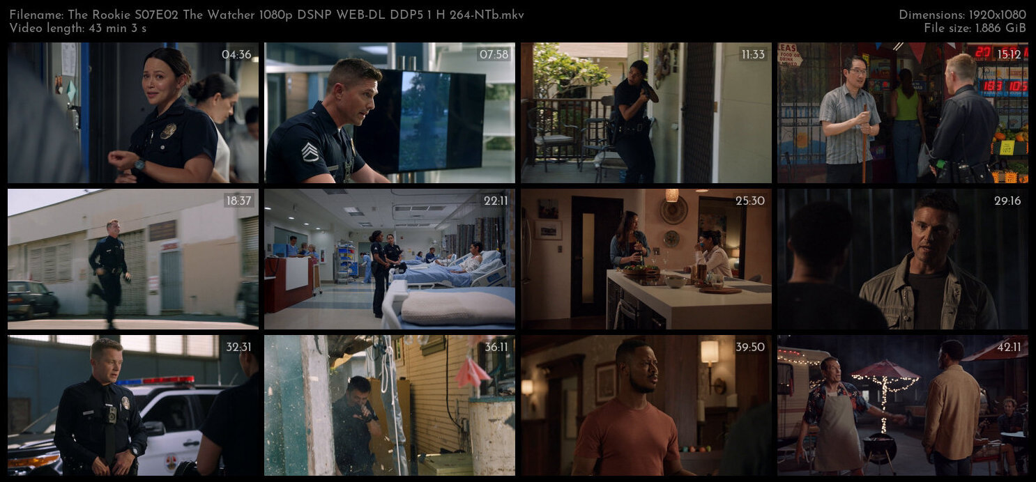 The Rookie S07E02 The Watcher 1080p DSNP WEB DL DDP5 1 H 264 NTb TGx