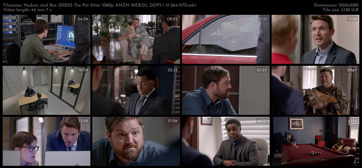 Hudson and Rex S01E05 The Pet Sitter 1080p AMZN WEB DL DDP5 1 H 264 NTb TGx