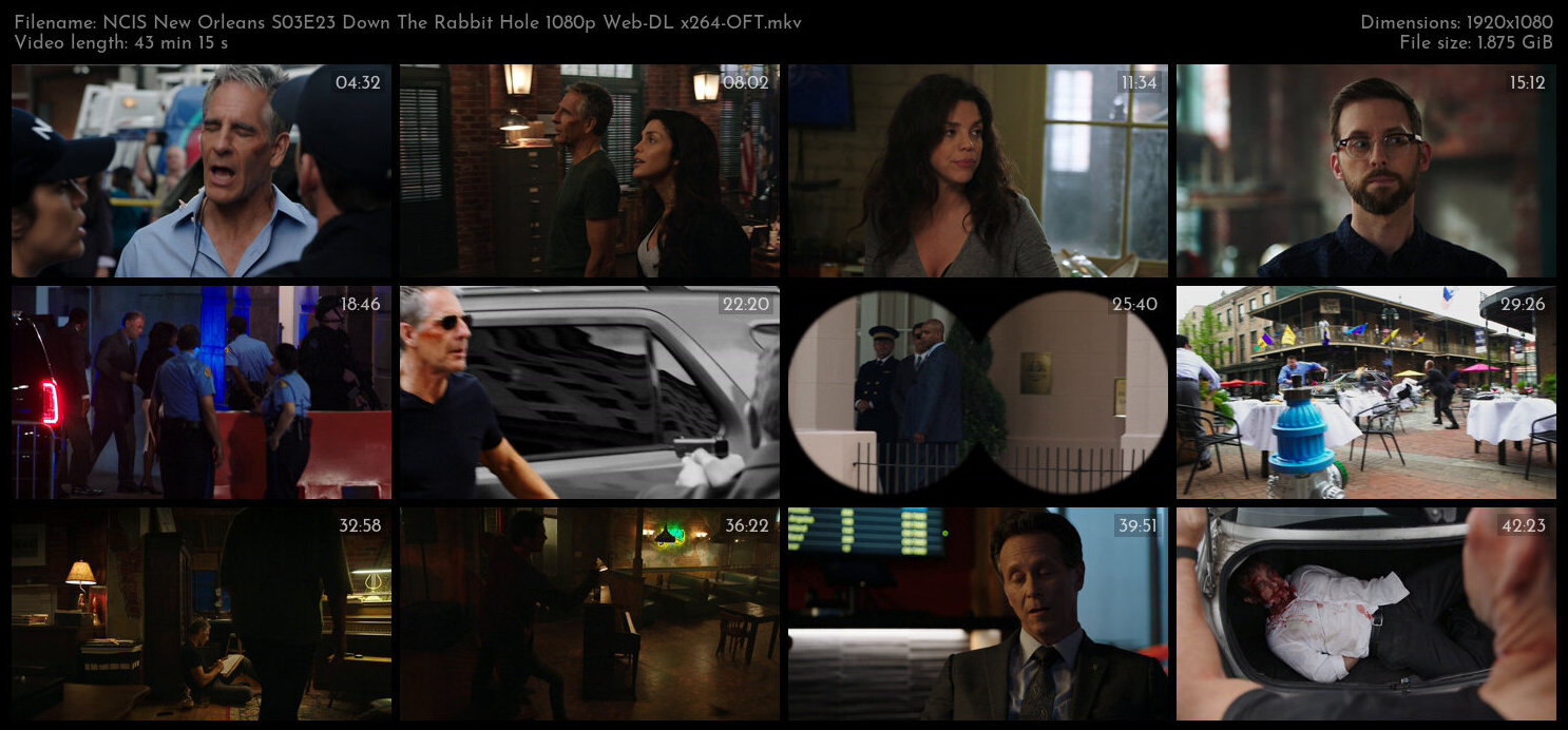 NCIS New Orleans S03E23 Down The Rabbit Hole 1080p Web DL x264 OFT TGx