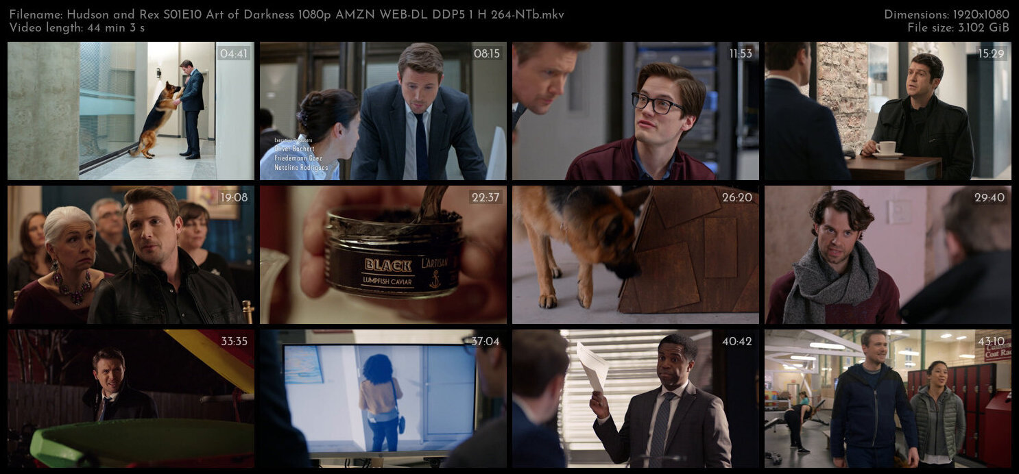 Hudson and Rex S01E10 Art of Darkness 1080p AMZN WEB DL DDP5 1 H 264 NTb TGx