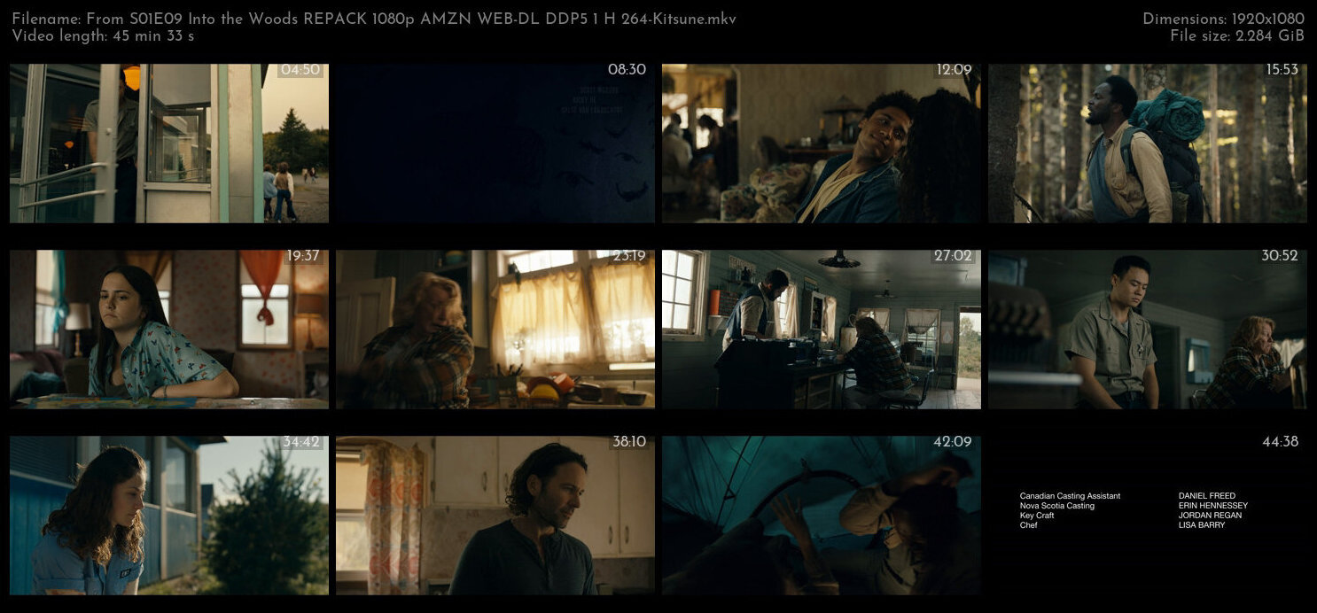 From S01E09 Into the Woods REPACK 1080p AMZN WEB DL DDP5 1 H 264 Kitsune TGx