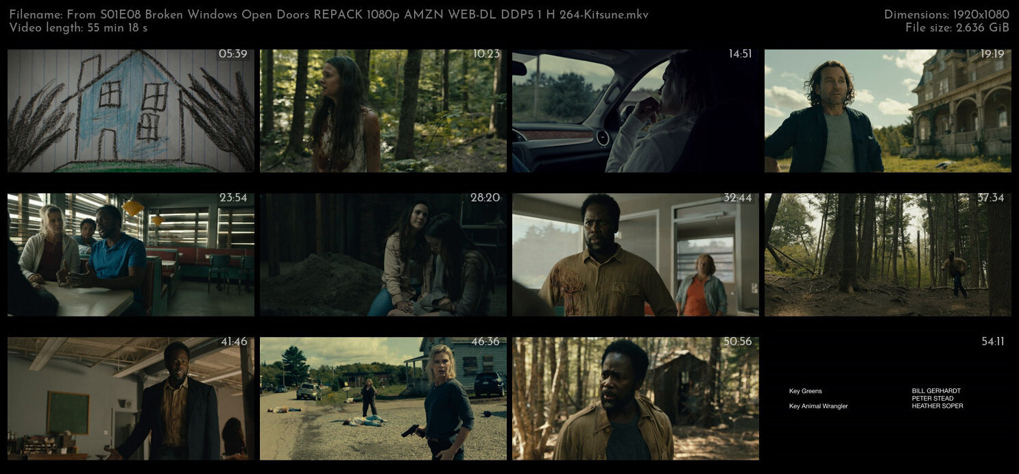 From S01E08 Broken Windows Open Doors REPACK 1080p AMZN WEB DL DDP5 1 H 264 Kitsune TGx