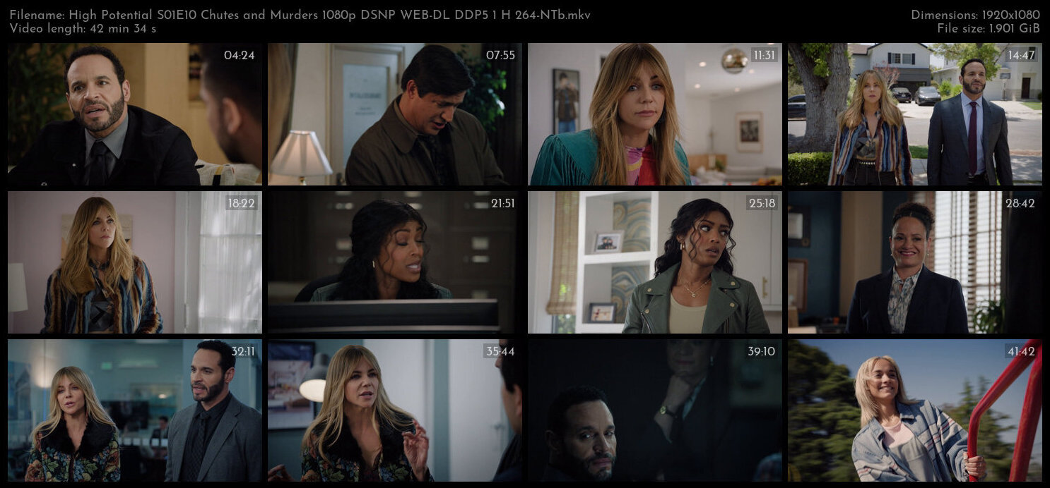 High Potential S01E10 Chutes and Murders 1080p DSNP WEB DL DDP5 1 H 264 NTb TGx