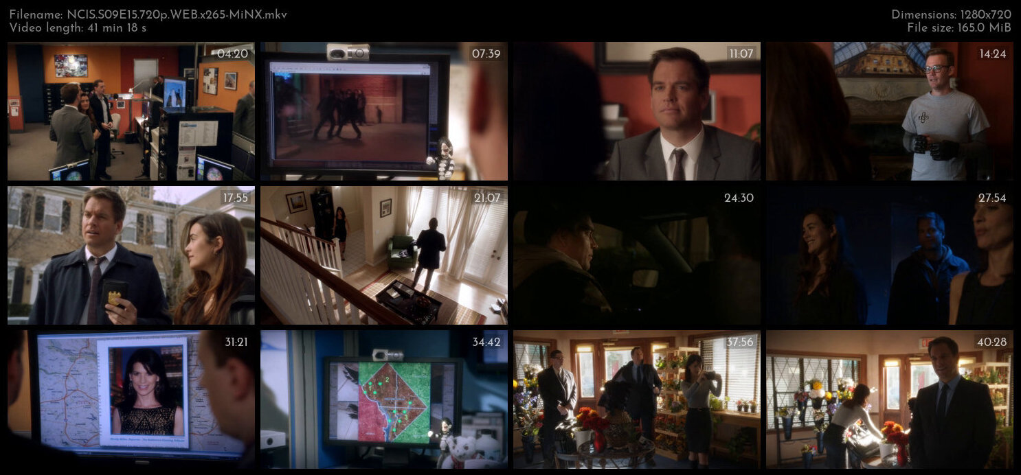 NCIS S09E15 720p WEB x265 MiNX TGx