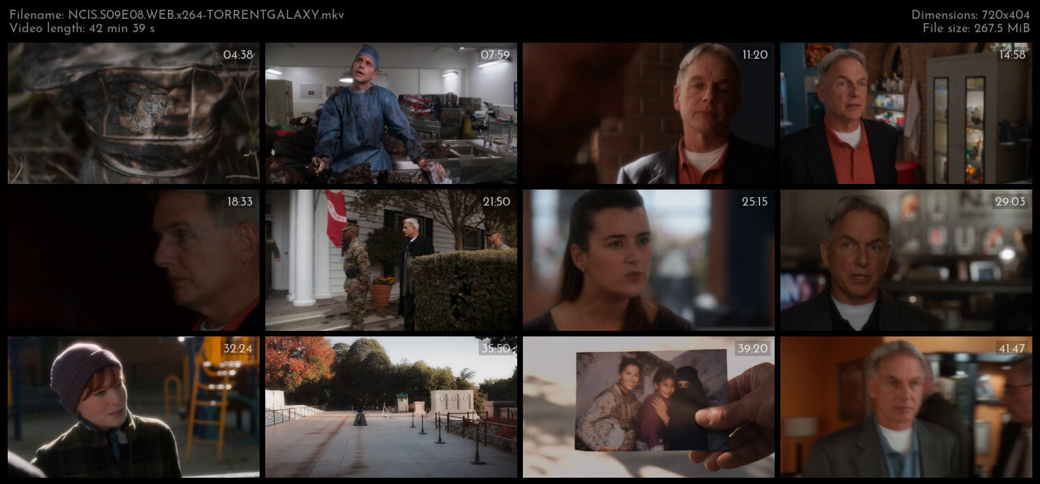 NCIS S09E08 WEB x264 TORRENTGALAXY