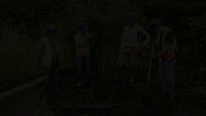 The Curse of Oak Island S12E09 WEB x264 TORRENTGALAXY