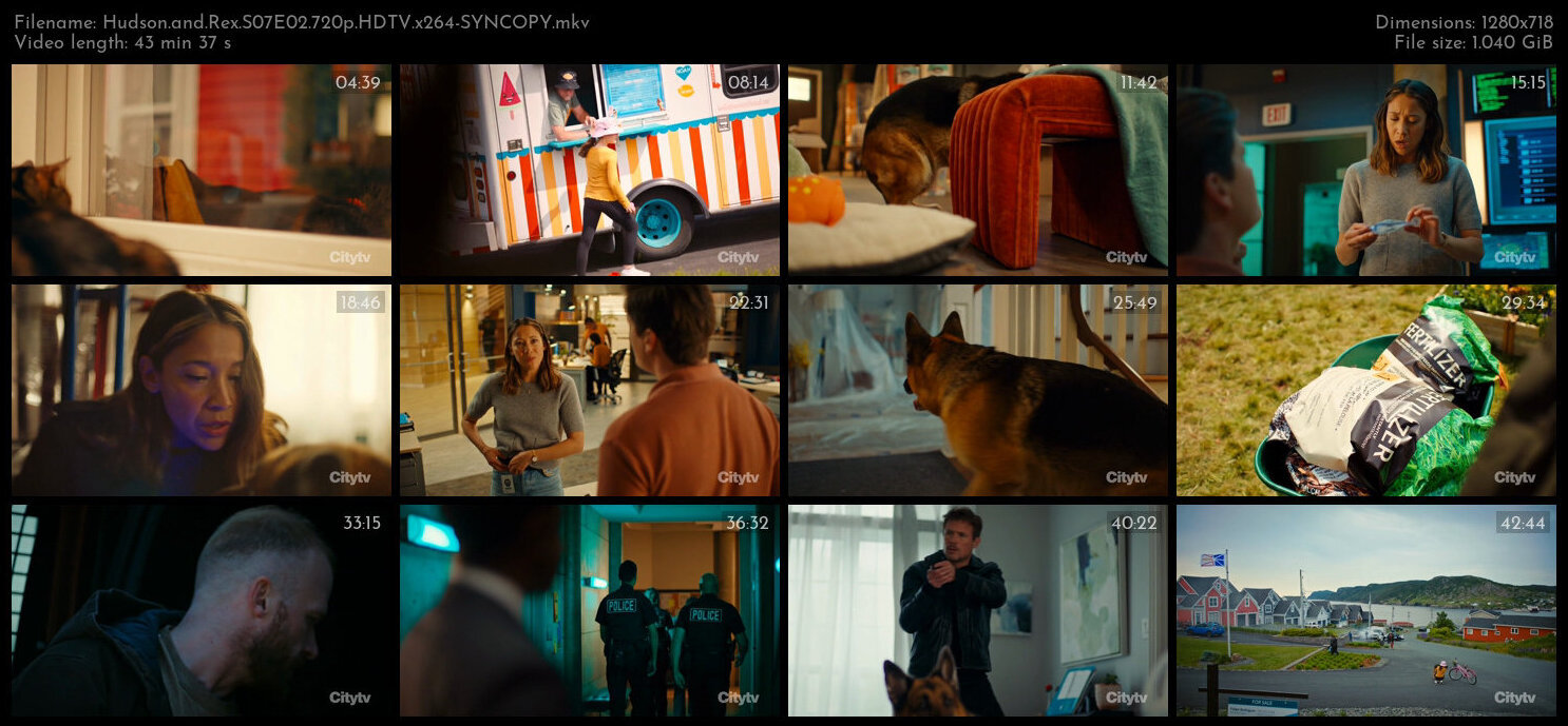 Hudson and Rex S07E02 720p HDTV x264 SYNCOPY TGx