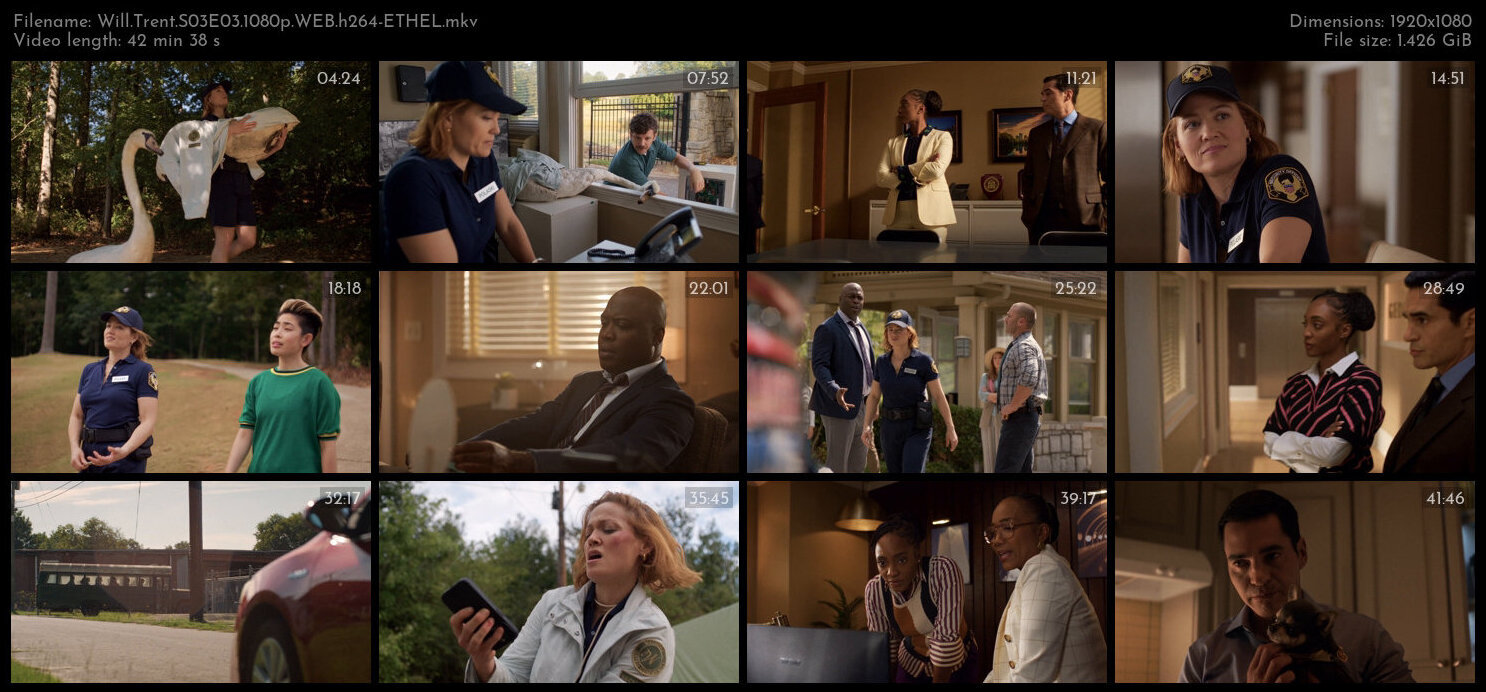 Will Trent S03E03 1080p WEB h264 ETHEL TGx