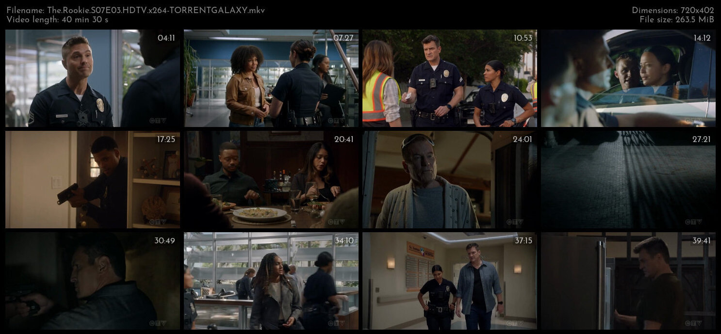 The Rookie S07E03 HDTV x264 TORRENTGALAXY