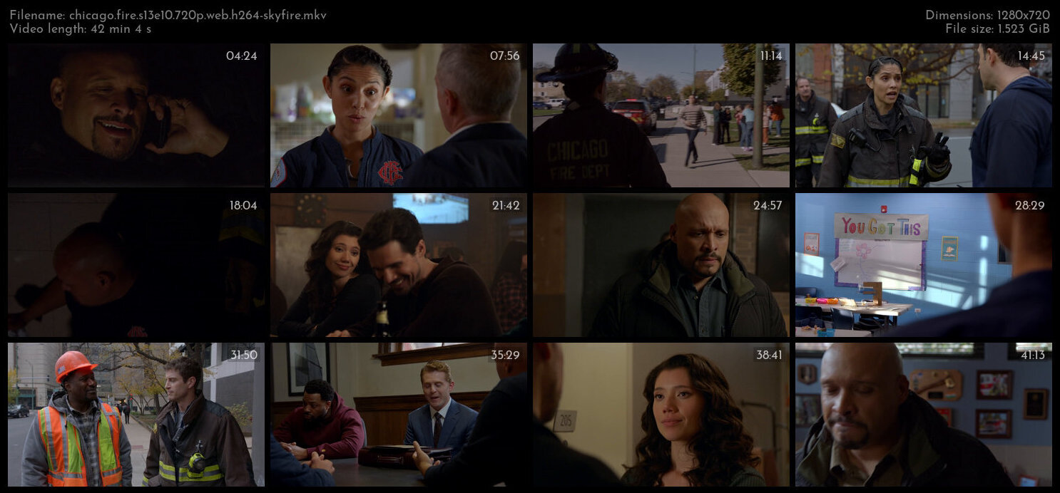 Chicago Fire S13E10 720p WEB H264 SKYFiRE TGx