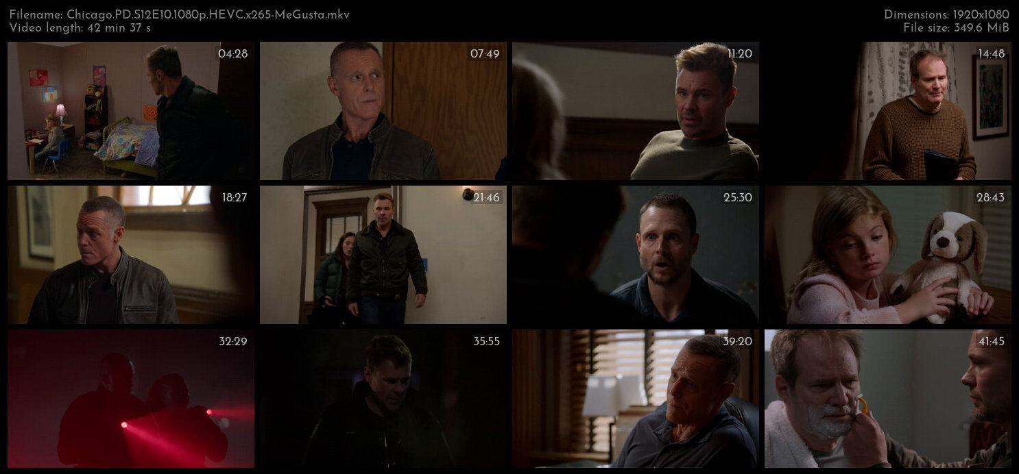 Chicago PD S12E10 1080p HEVC x265 MeGusta TGx