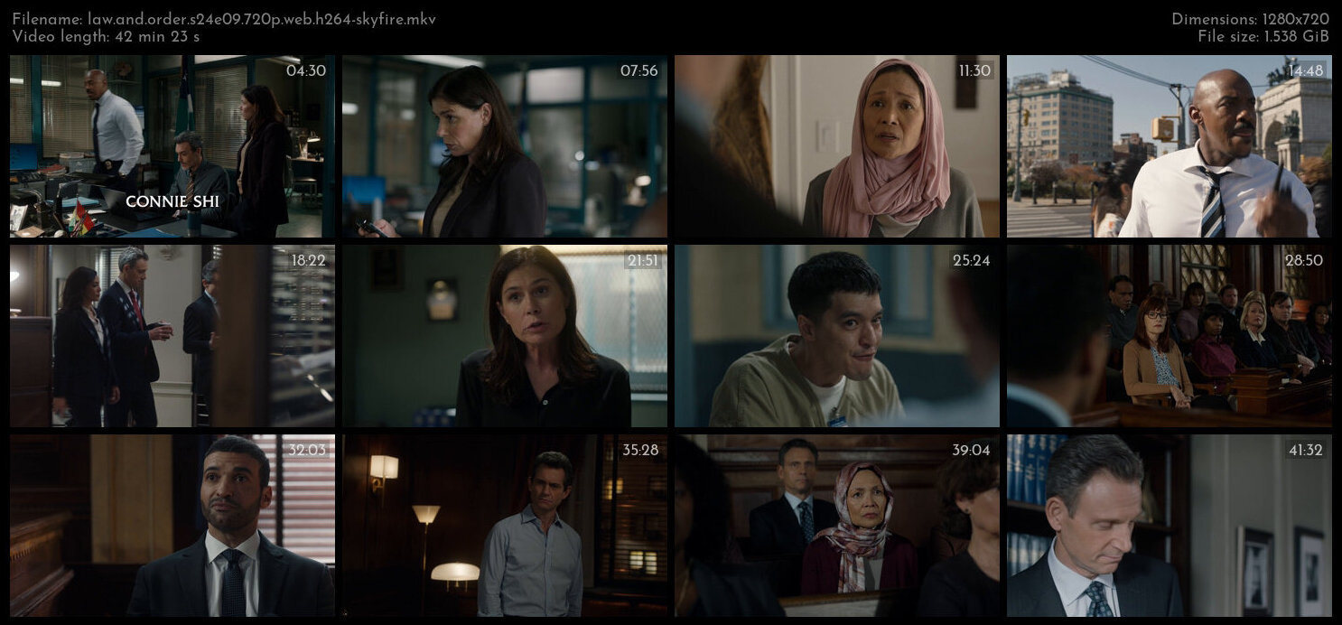 Law And Order S24E09 720p WEB H264 SKYFiRE TGx