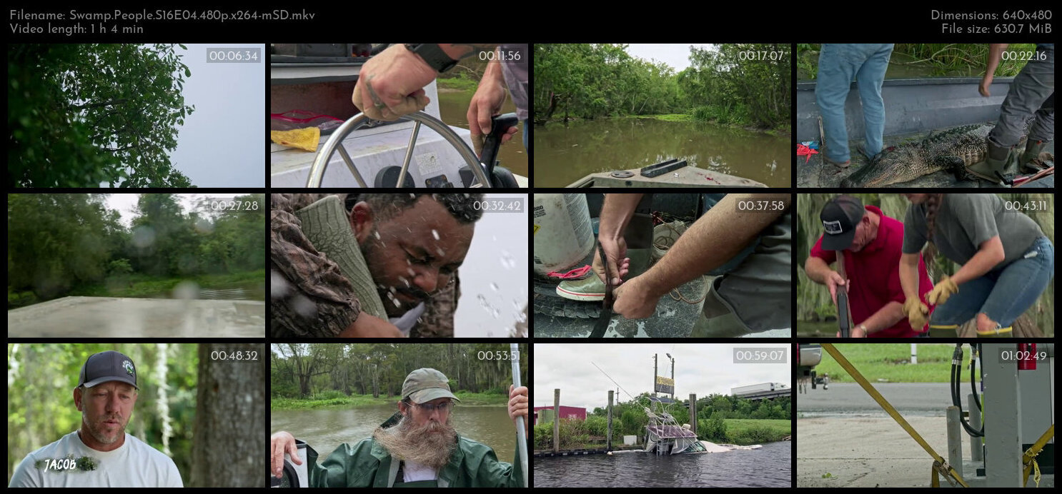 Swamp People S16E04 480p x264 mSD TGx