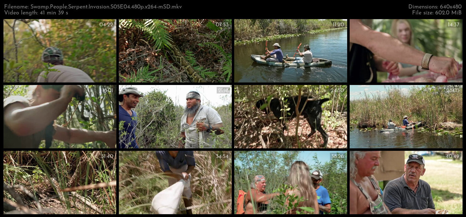 Swamp People Serpent Invasion S05E04 480p x264 mSD TGx