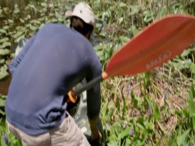 Swamp People Serpent Invasion S05E04 480p x264 mSD TGx