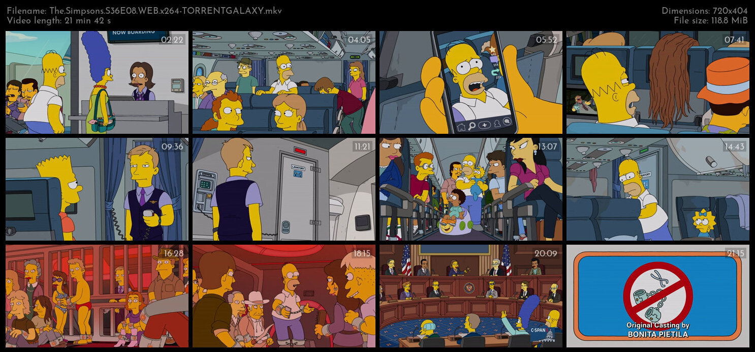 The Simpsons S36E08 WEB x264 TORRENTGALAXY