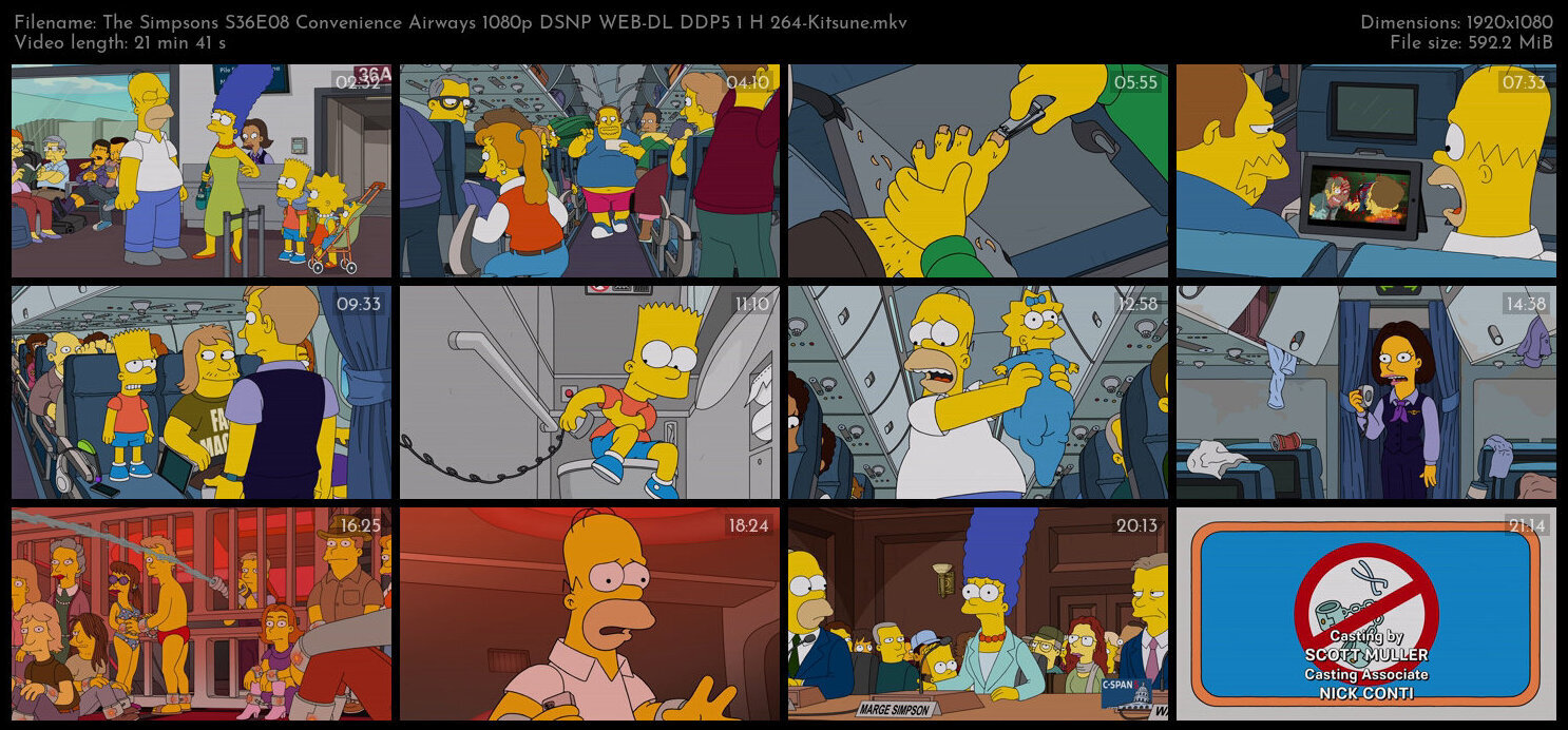 The Simpsons S36E08 Convenience Airways 1080p DSNP WEB DL DDP5 1 H 264 Kitsune TGx