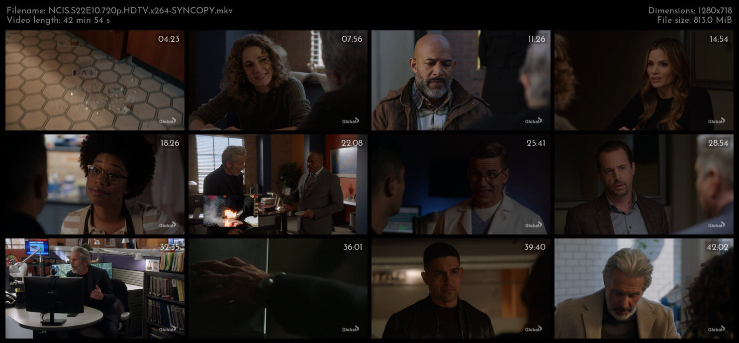 NCIS S22E10 720p HDTV x264 SYNCOPY TGx