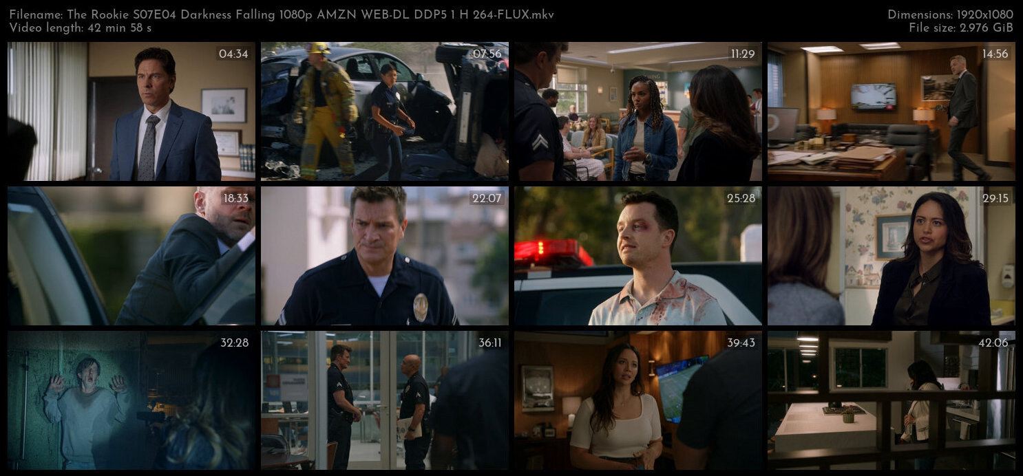 The Rookie S07E04 Darkness Falling 1080p AMZN WEB DL DDP5 1 H 264 FLUX TGx