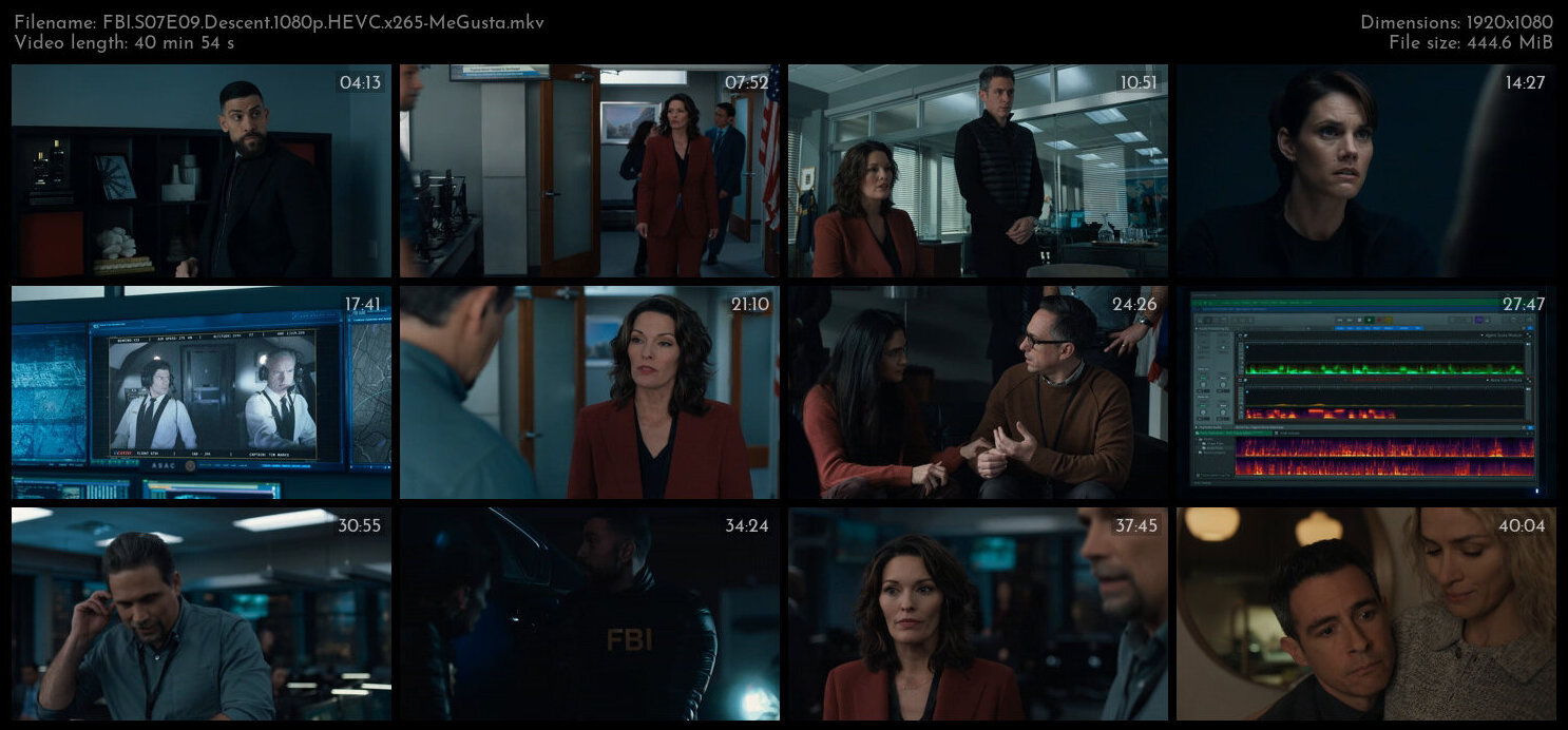 FBI S07E09 Descent 1080p HEVC x265 MeGusta TGx