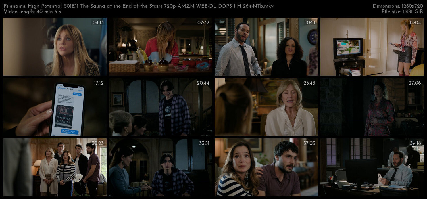 High Potential S01E11 The Sauna at the End of the Stairs 720p AMZN WEB DL DDP5 1 H 264 NTb TGx